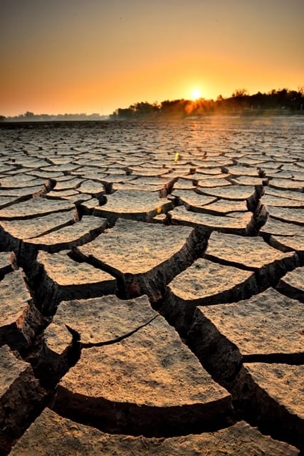 Crédito de imagem: Shutterstock