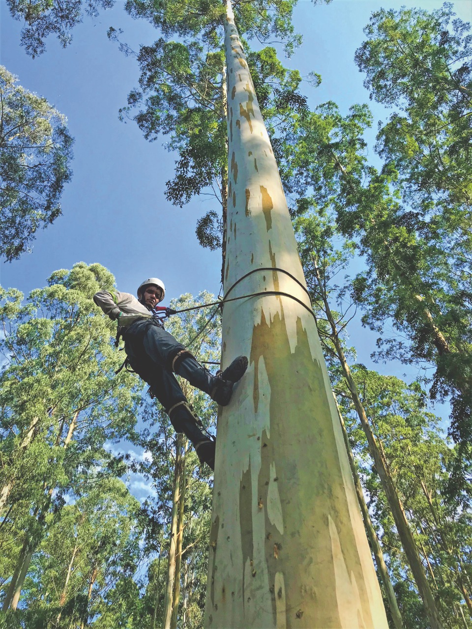 Alpinismo é a atividade ajuda na coleta de material genético