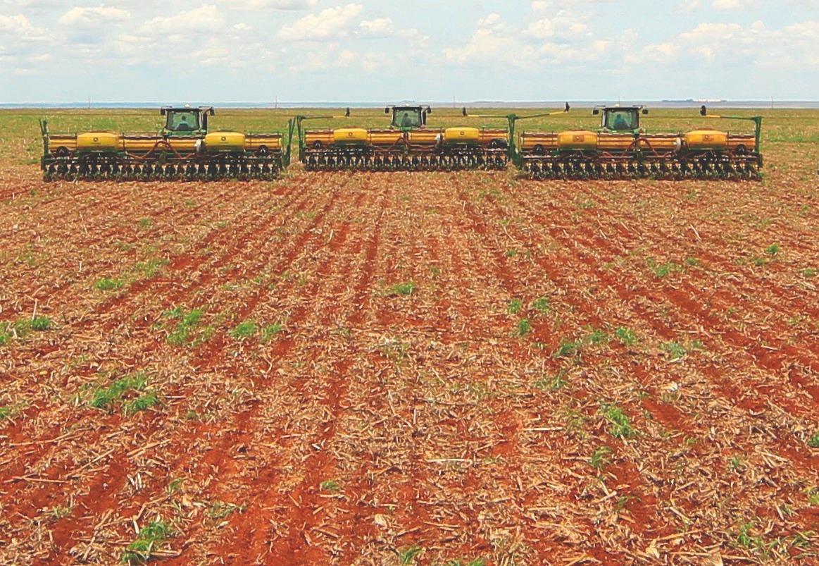 Aprosoja alerta para o vazio sanitário