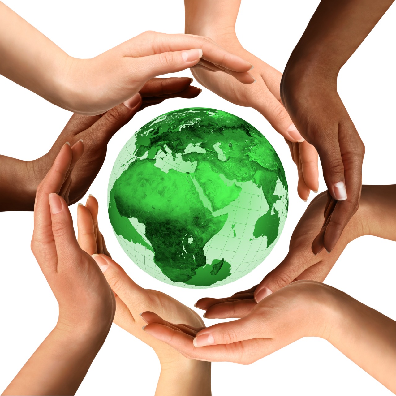 Adubação orgânica significa sustentabilidade e versatilidade no campo