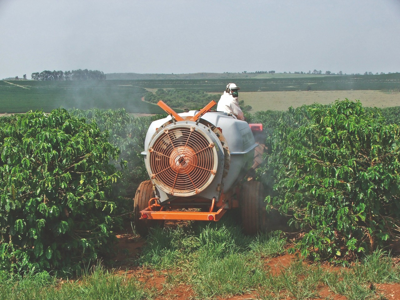 Aplicação de herbicidas para pós-plantio do cafeeiro