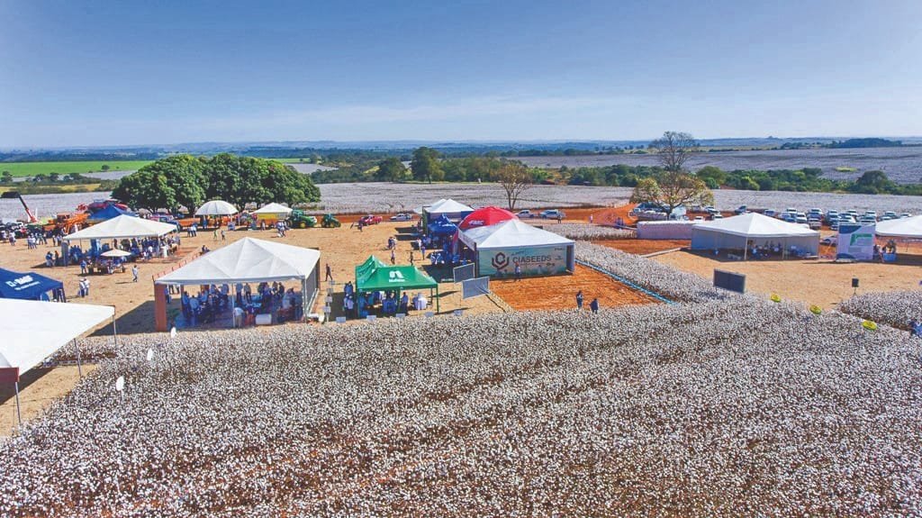 Amipa realiza Dia de Campo com cultura do algodão em alta
