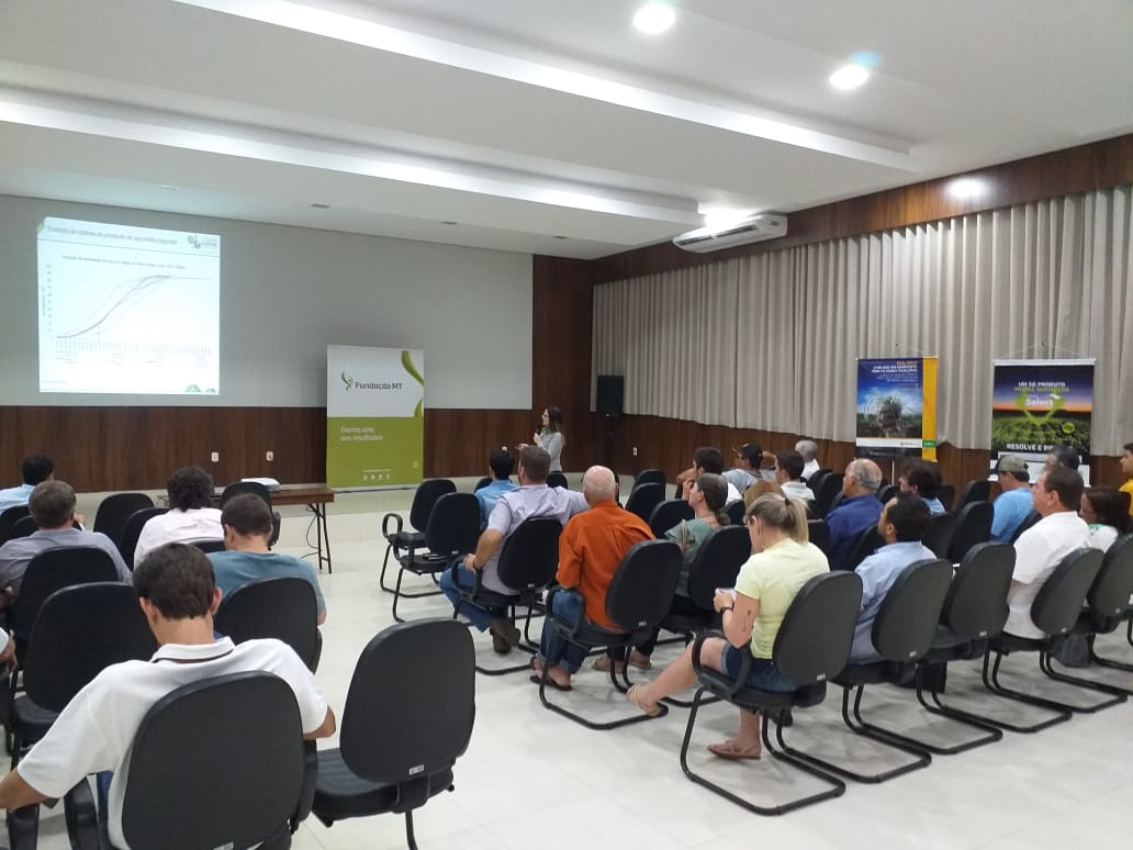 Como realizar o manejo das doenças na próxima safra de soja?