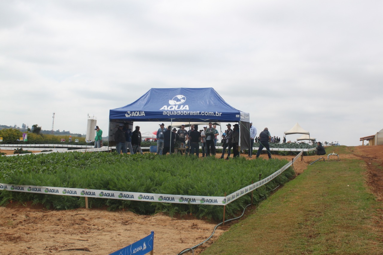 Aqua estreia na 13ª edição do Bejo a Campo