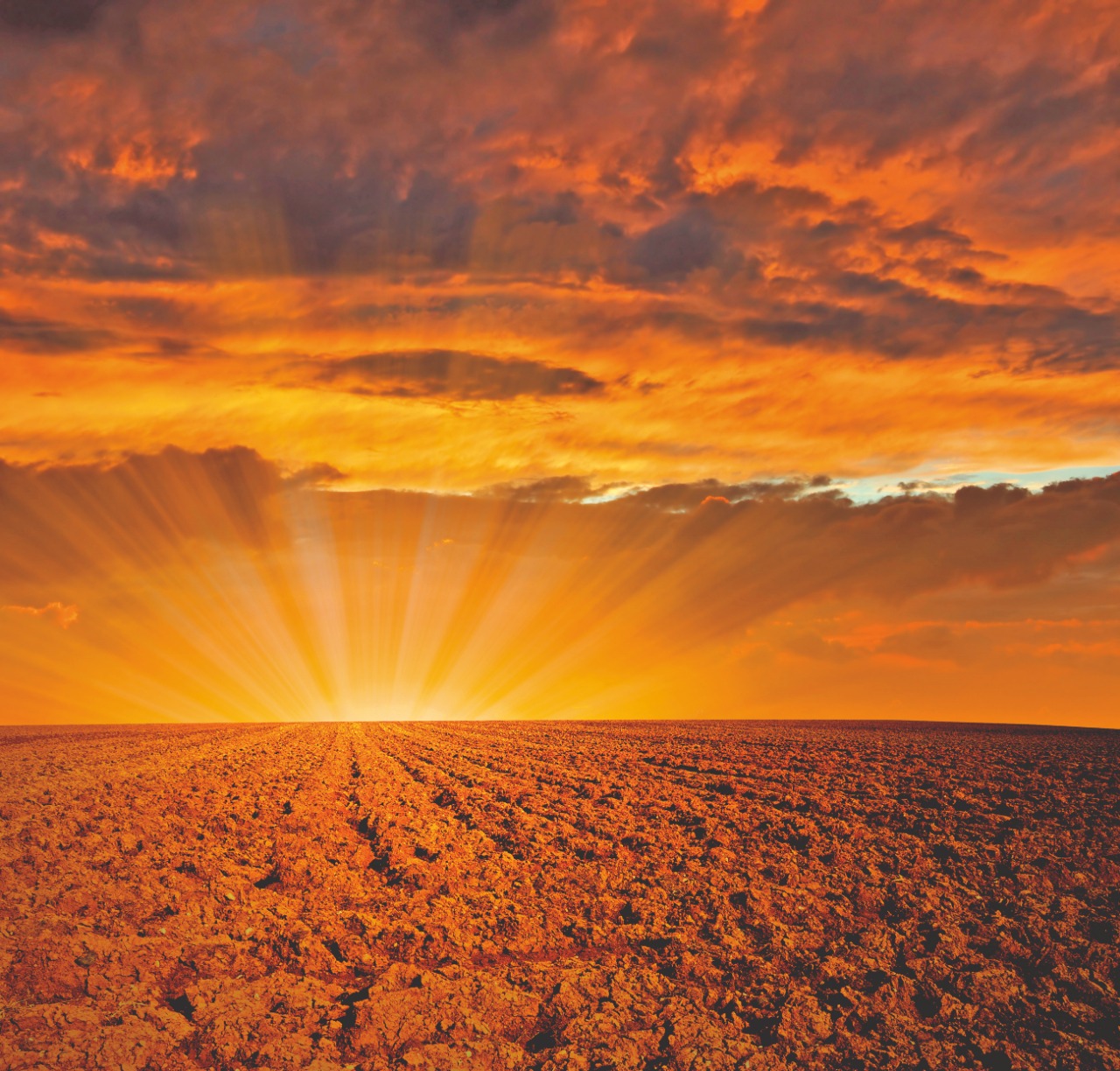 Hora de fazer análise de solo e da lavoura