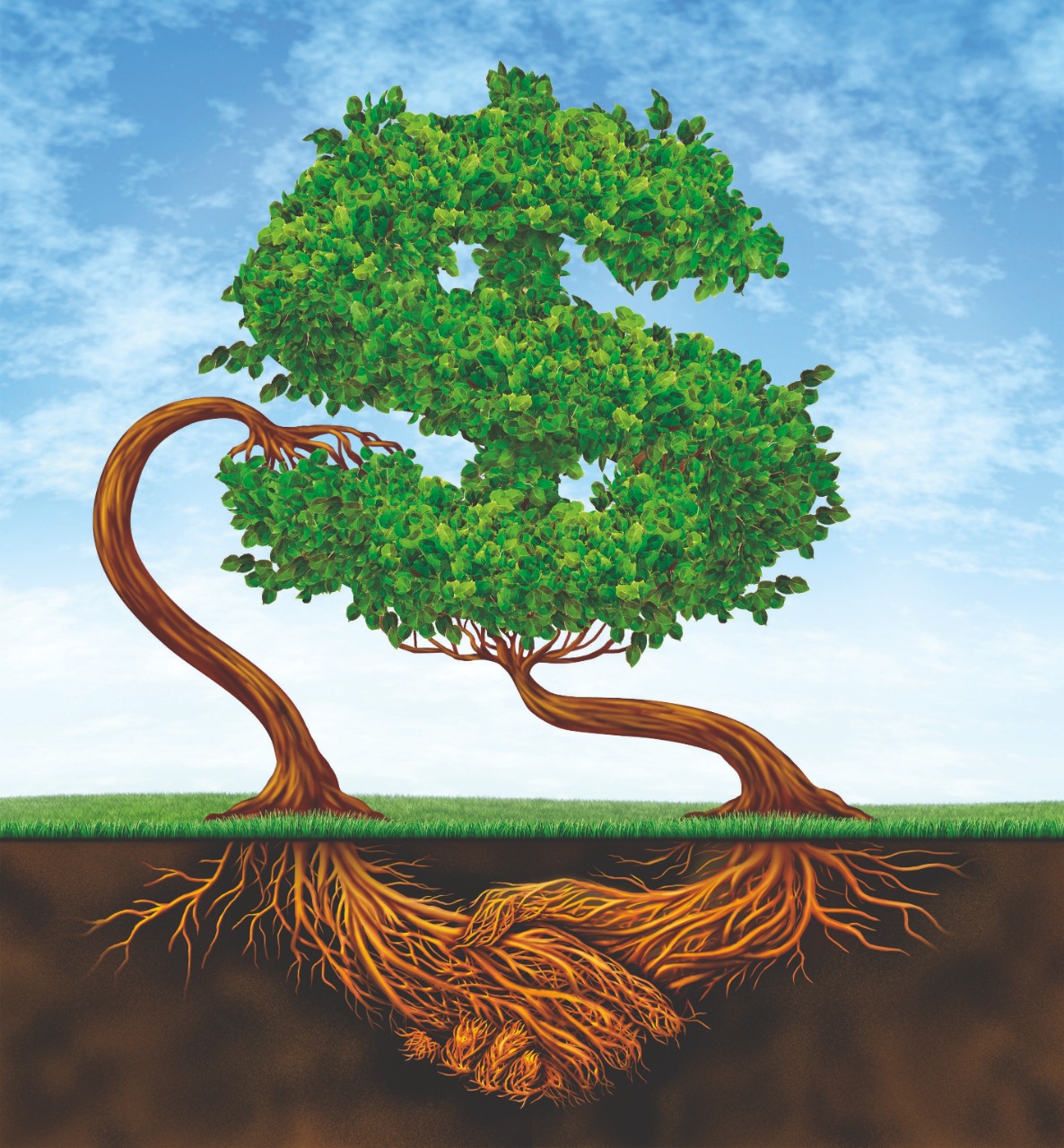 Espécies alternativas para reflorestamentos