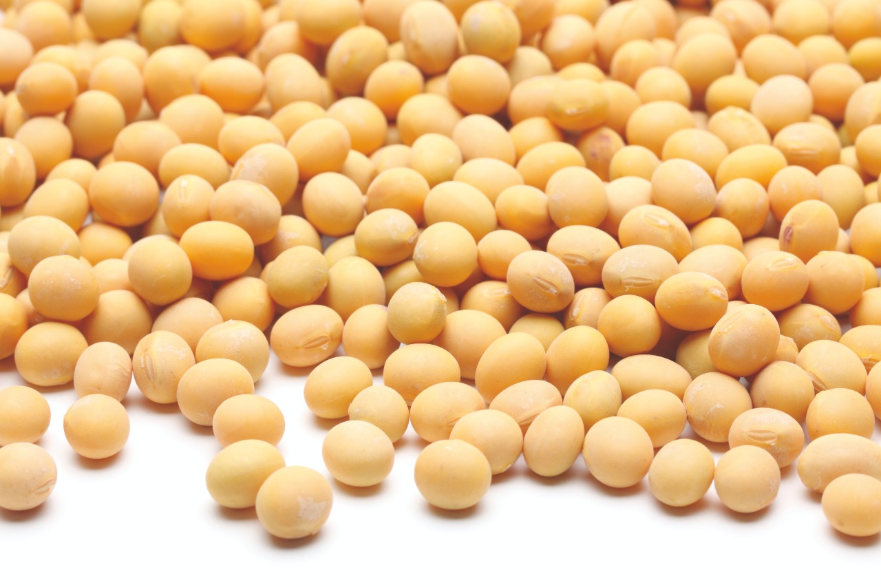 Tratamento de sementes é o início de uma lavoura de sucesso?