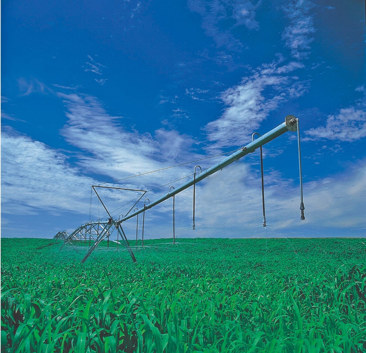 Práticas de manejo para otimizar o nitrogênio em cana-soca