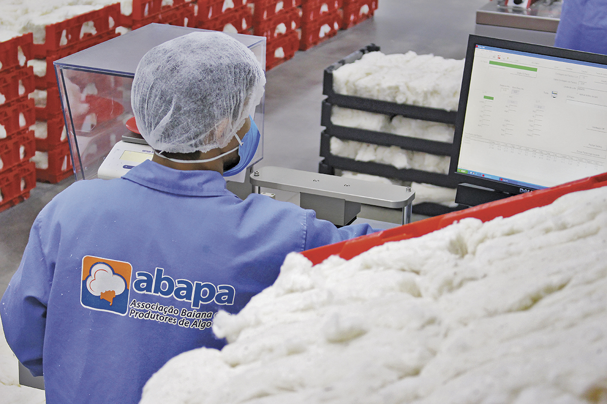 Três milhões de amostras podem ser analisadas em uma só safra?