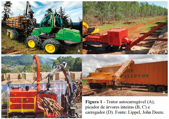 Picador de árvores inteiras