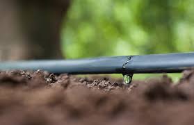 Rivulis leva tecnologia de irrigação à SIC 2019