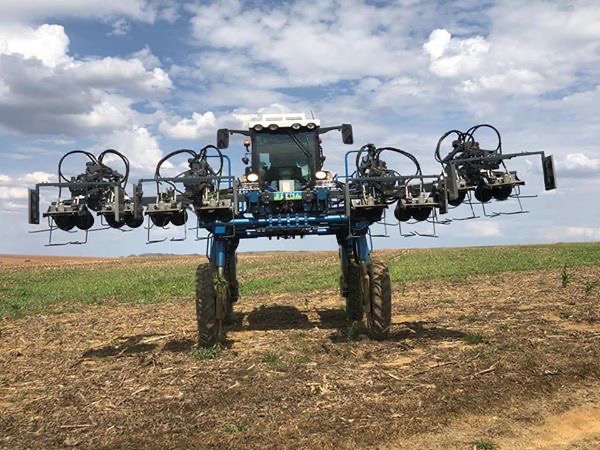 Tecnologia para realização de despendoamento de milho no Brasil