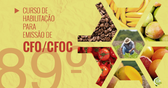 IMA abre inscrições para curso de CFO e CFOC
