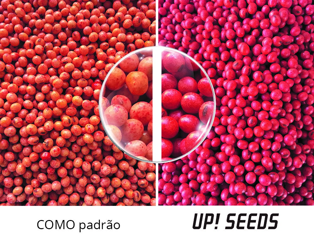 Como potencializar a fixação biológica de nitrogênio na soja?
