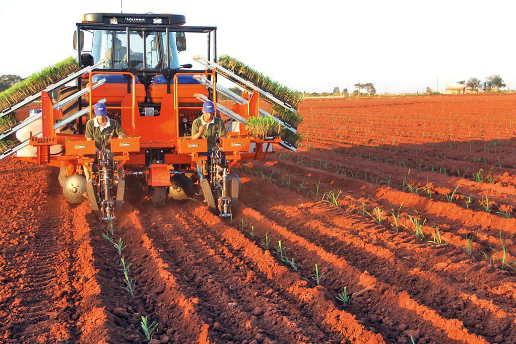 Sistema de Mudas Pré-Brotadas: a inovação no modo de plantar cana