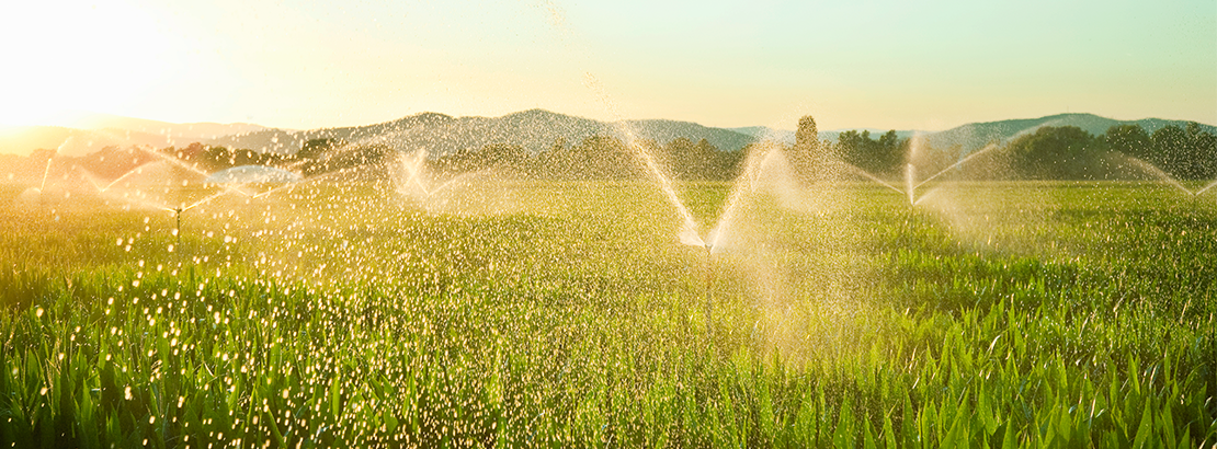Sistema de irrigação: tendências e tecnologias para o mercado