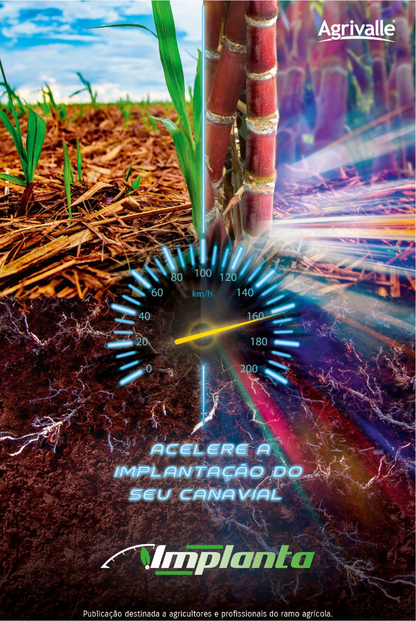 Casa Bugre | Agrivalle apresentam tecnologia multifuncional exclusiva