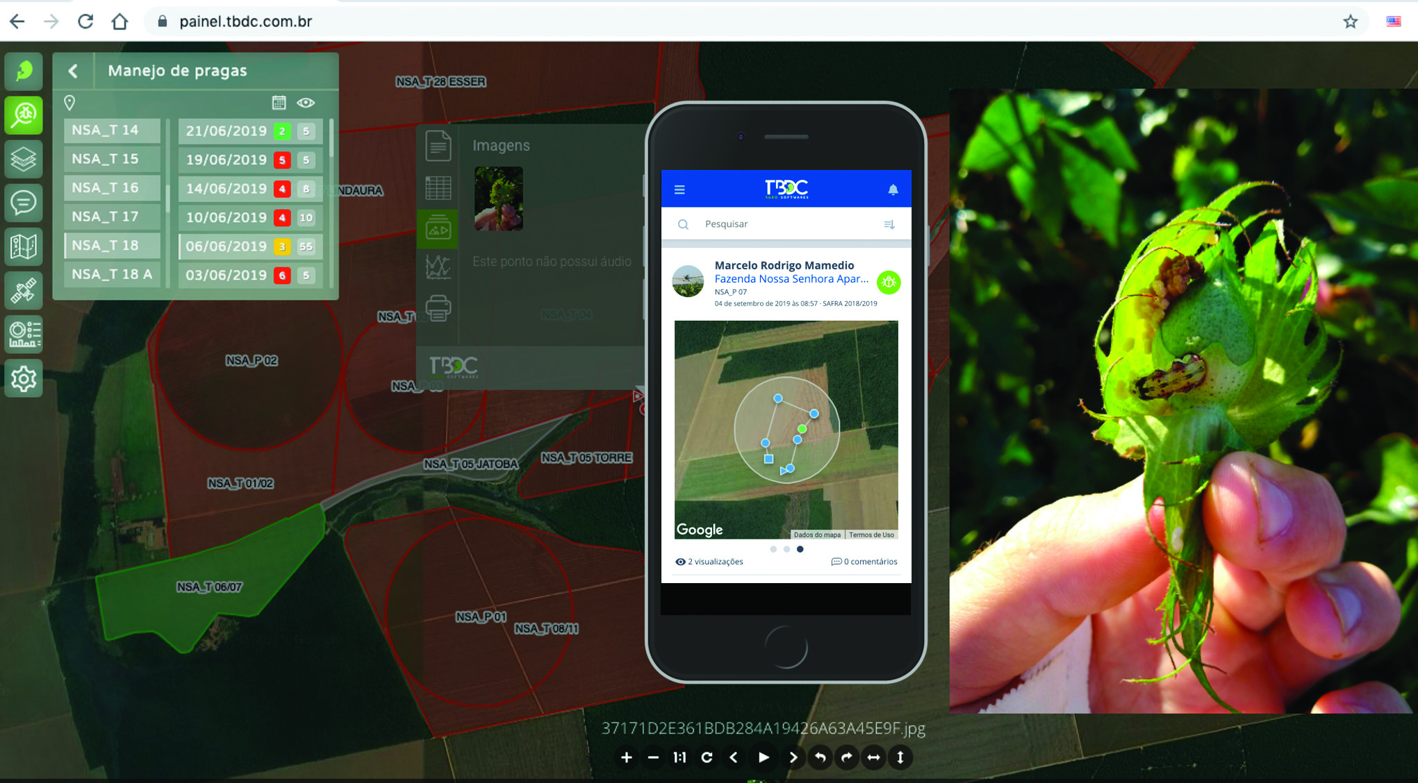 As ferramentas digitais agilizam processo de monitoramento?
