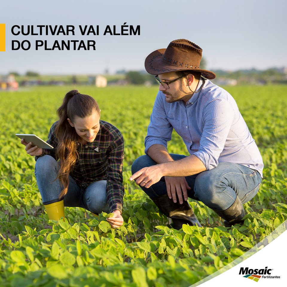 Mosaic Fertilizantes expande sua presença no Norte e Nordeste