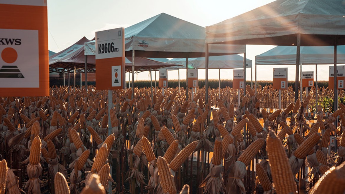 KWS Brasil está presente no Show Rural Coopavel