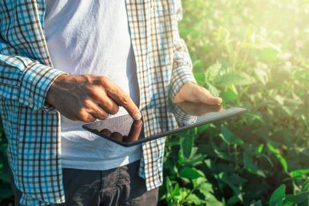 homem com tablet no campo