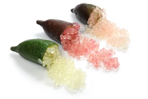 Frutos de limão caviar cortados, mostrando as pérolas coloridas da polpa