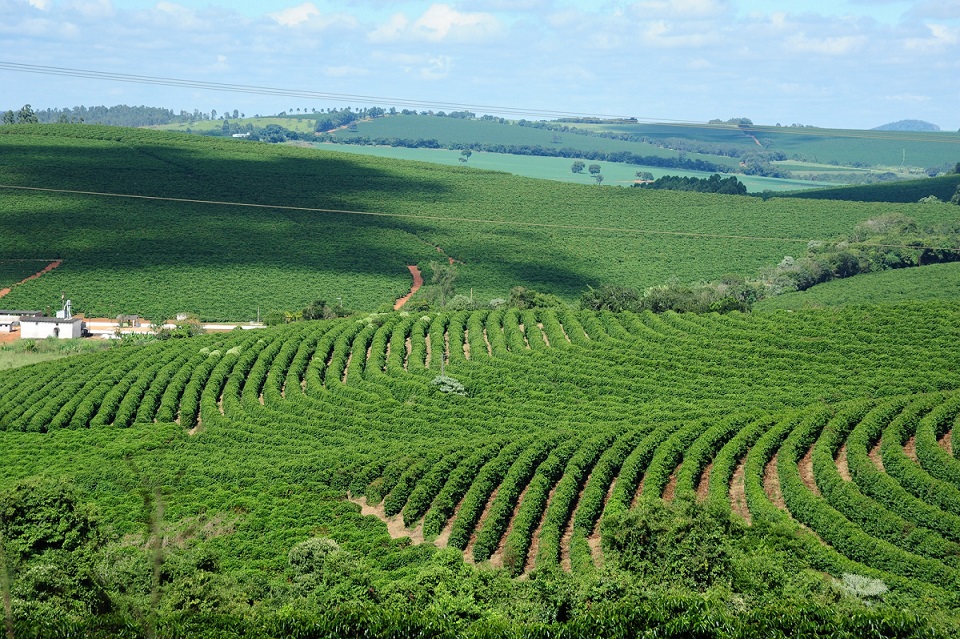 Coffee Dinner & Summit 2025 discute rastreabilidade e ESG no café brasileiro