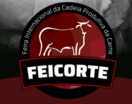Feicorte