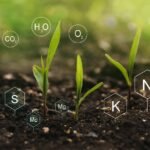 Setor de fertilizantes especiais recua em 2025 pressionado por custos e crédito restrito
