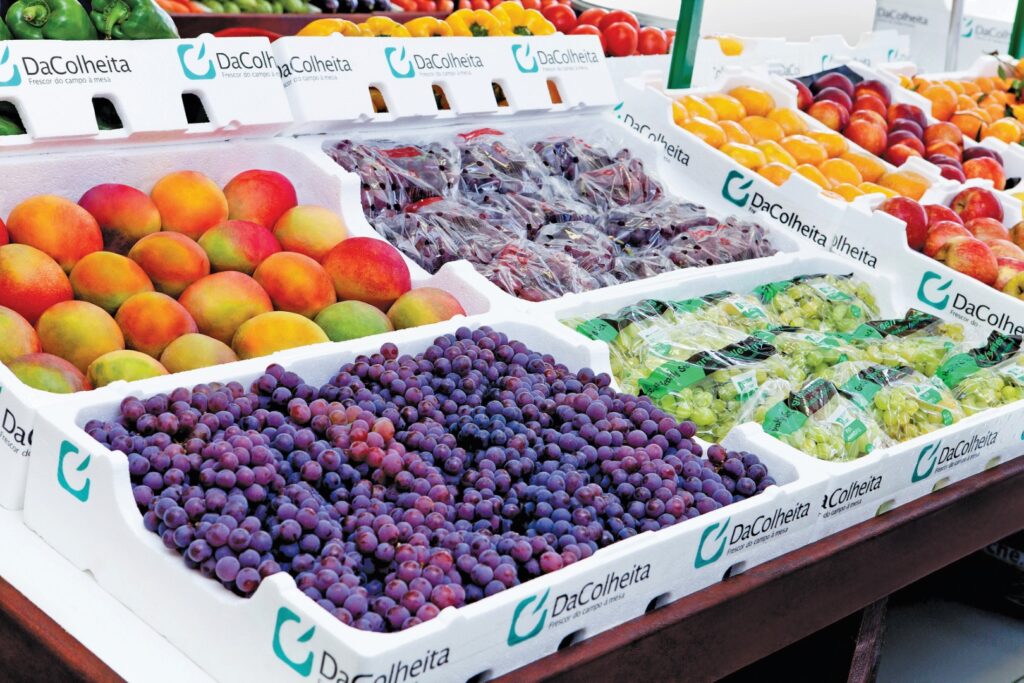 Conservadoras DaColheita preservando frutas frescas durante transporte e armazenagem