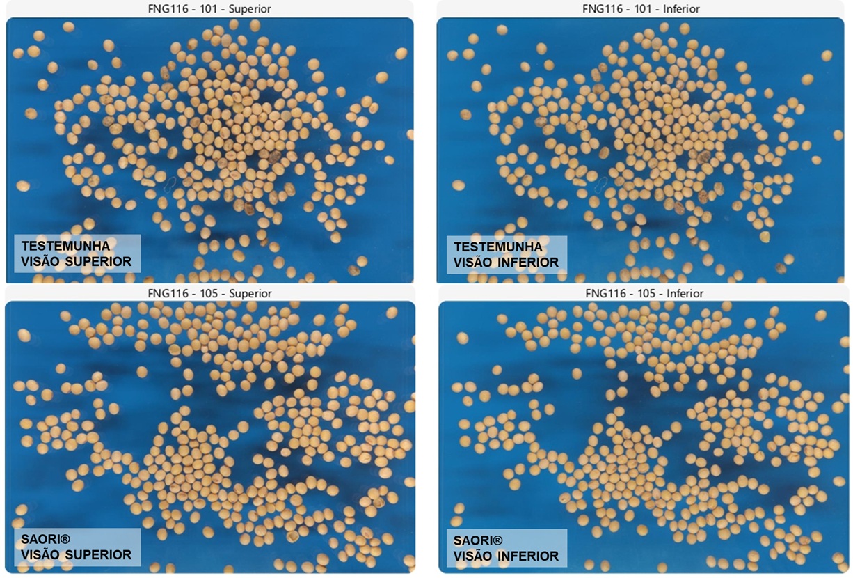 Sementes de soja com anomalia e resultados com Saori