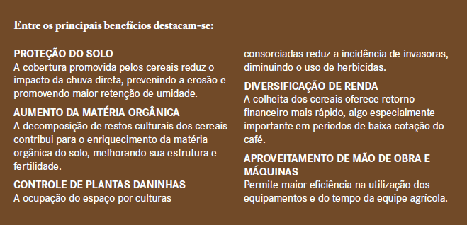 Imagem mostra benefícios do Plantio de cereais com café