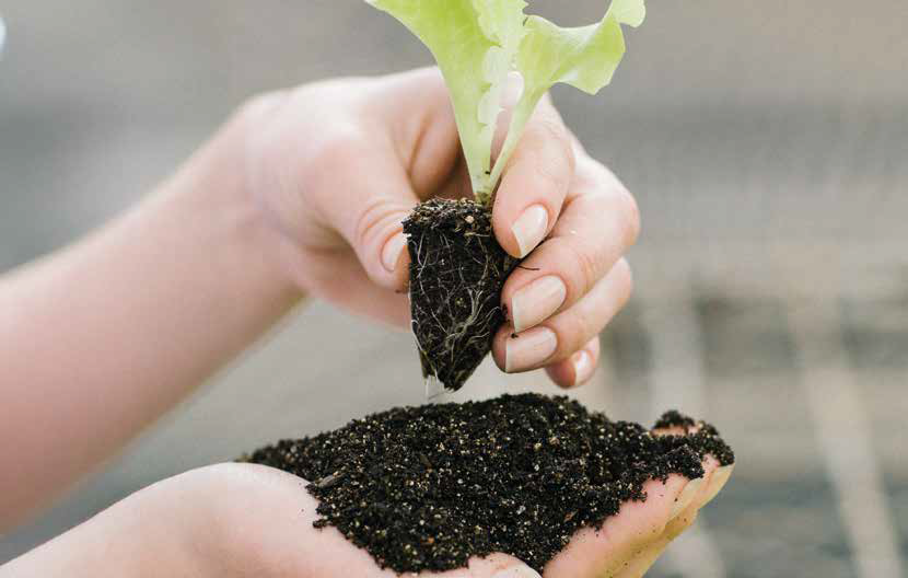 Mecplant na hortitec 2025