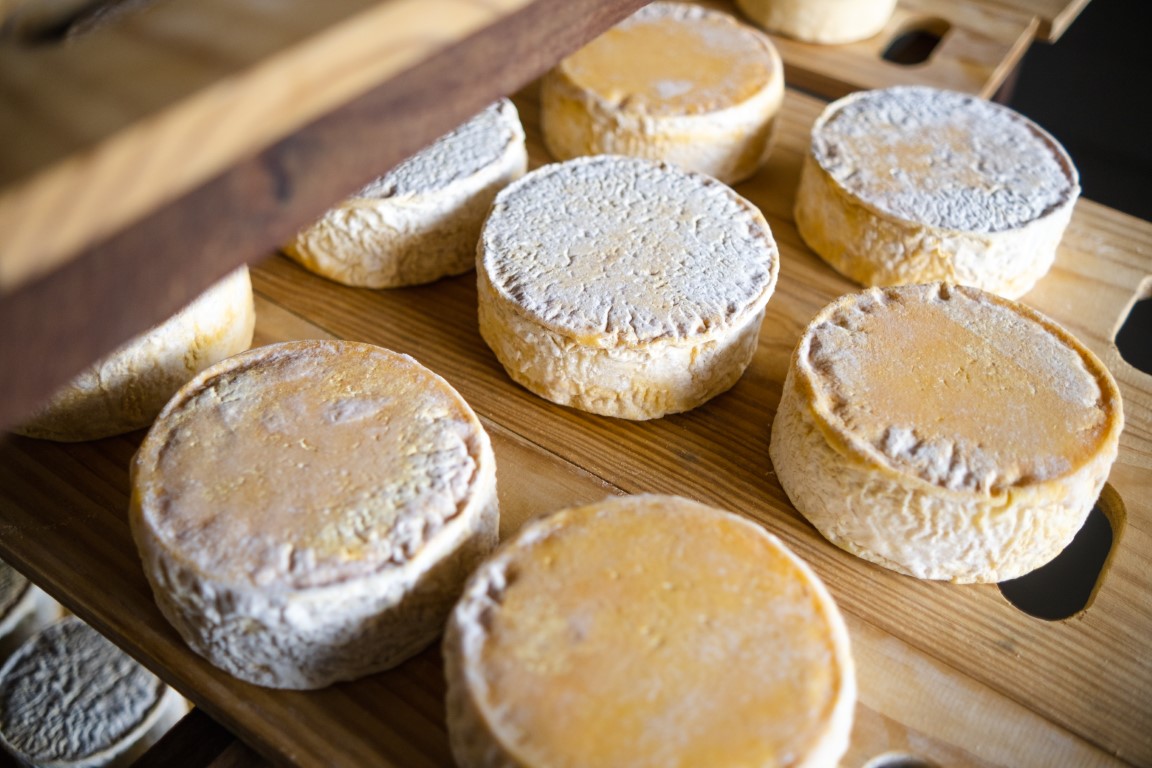 Produtora rural beneficiada pelo Programa Crescer com queijo premiado