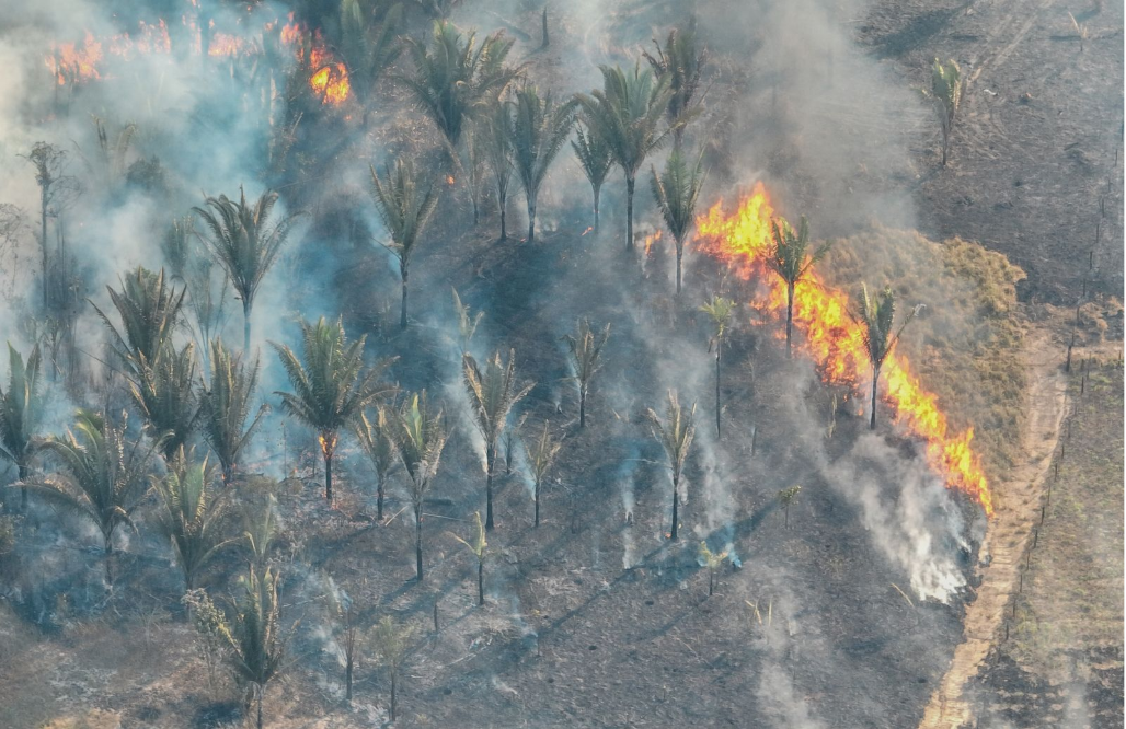 Fumaça causada por queimadas em Porto Velho durante período seco