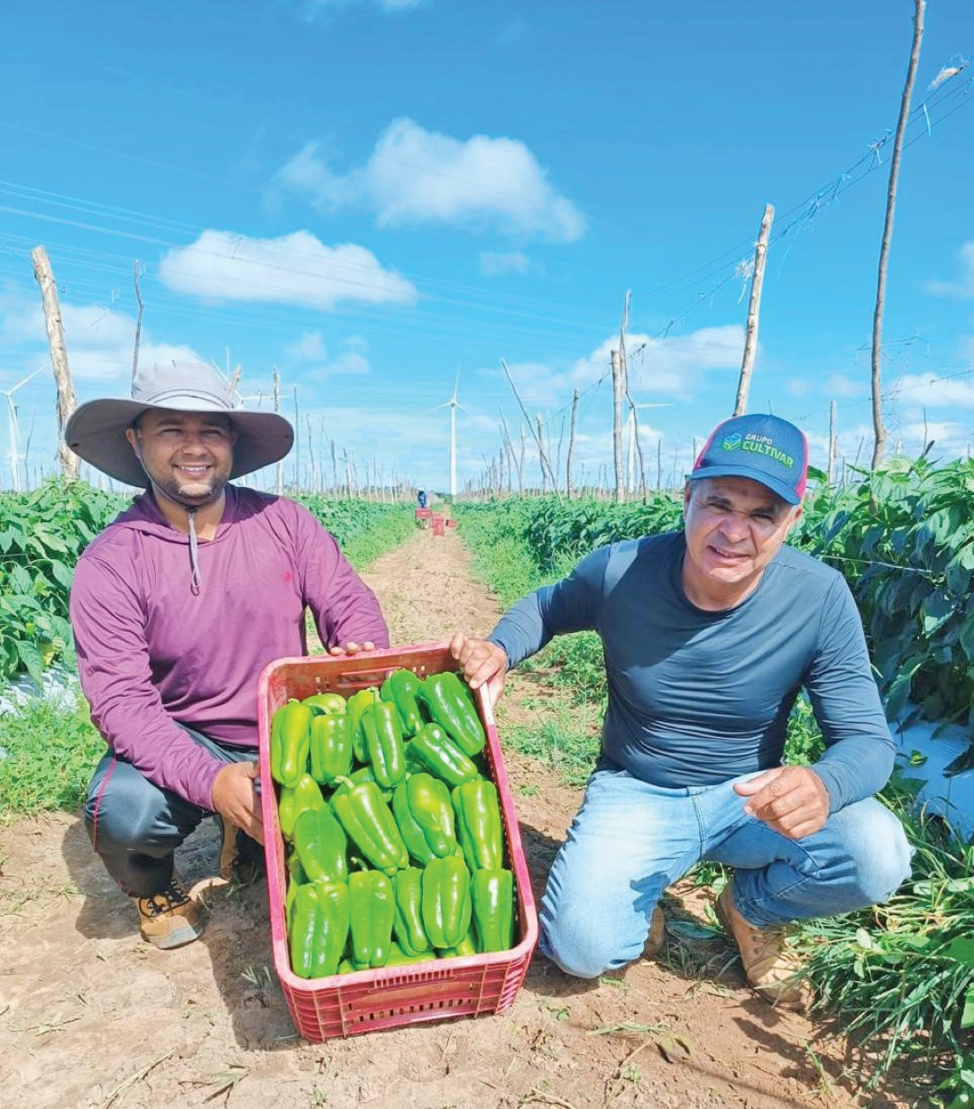 Antônio Eudes Hortifrúti: do Ceará para os mercados do Brasil