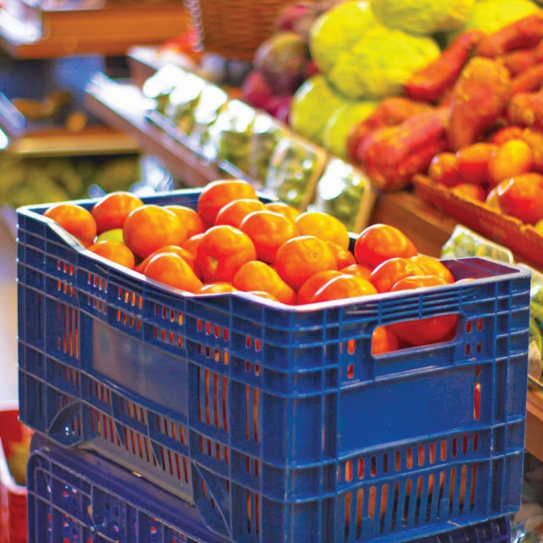 Caixa PLC Distribuidora