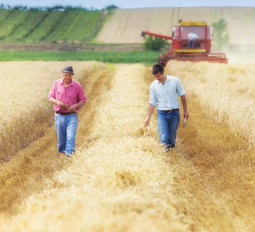 Nova visão ao agronegócio: planejamento financeiro e sucessório alinhado ao crédito sob medida para médias e grandes empresas