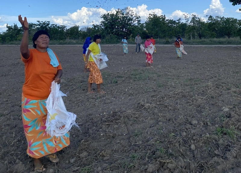 Equipe em área de restauração florestal na Mata Atlântica, iniciativa do edital Floresta Viva.