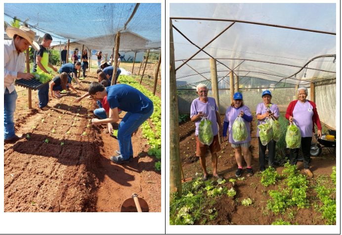Participantes do Projeto Ceres da Universidade Brasil durante plantio e colheita
