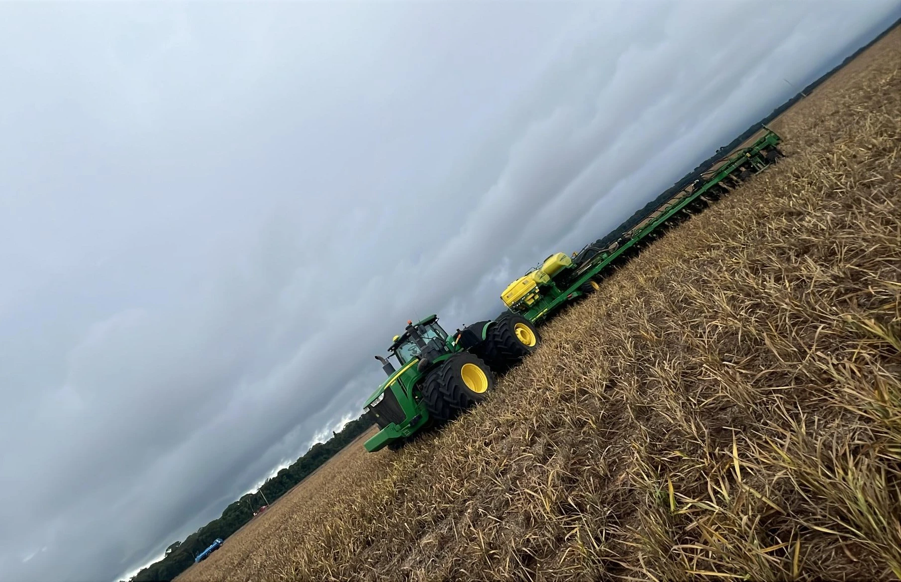 Plantação do grupo Gente que Produz e Preserva