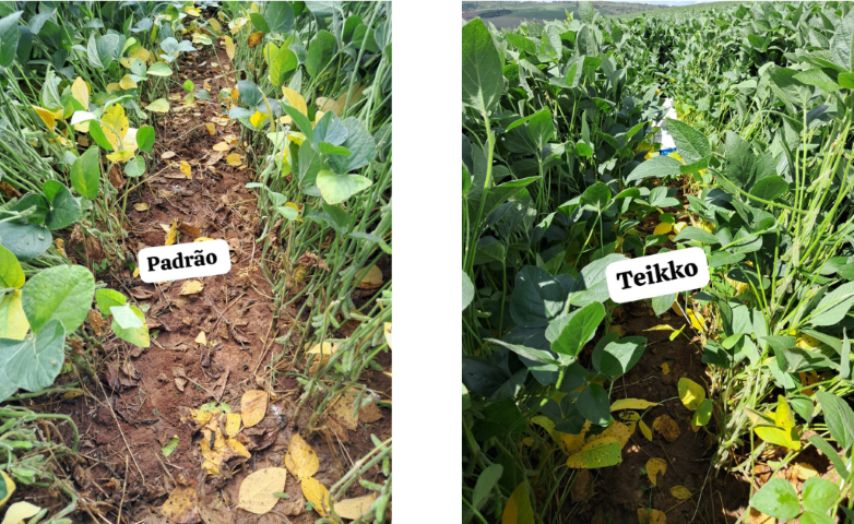 PI AgSciences estreia na Feira de Inovações SCV com soluções disruptivas para tratamento de sementes