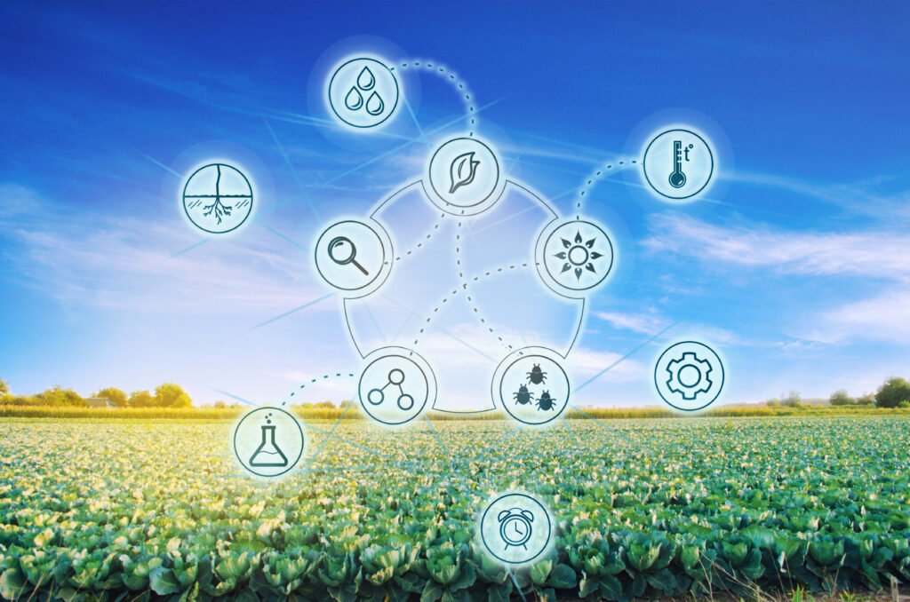 Análise foliar com inteligência artificial reduz custos e aumenta produtividade no agro
