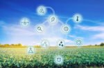 Análise foliar com inteligência artificial reduz custos e aumenta produtividade no agro