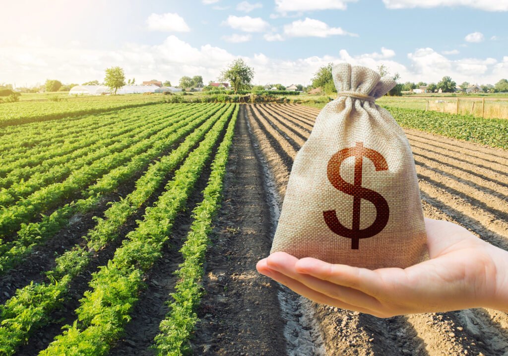Evento do CONACREDI reúne profissionais do agronegócio para debater crédito rural, gestão de riscos, inadimplência no agro e estratégias financeiras para o setor.