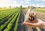 Evento do CONACREDI reúne profissionais do agronegócio para debater crédito rural, gestão de riscos, inadimplência no agro e estratégias financeiras para o setor.