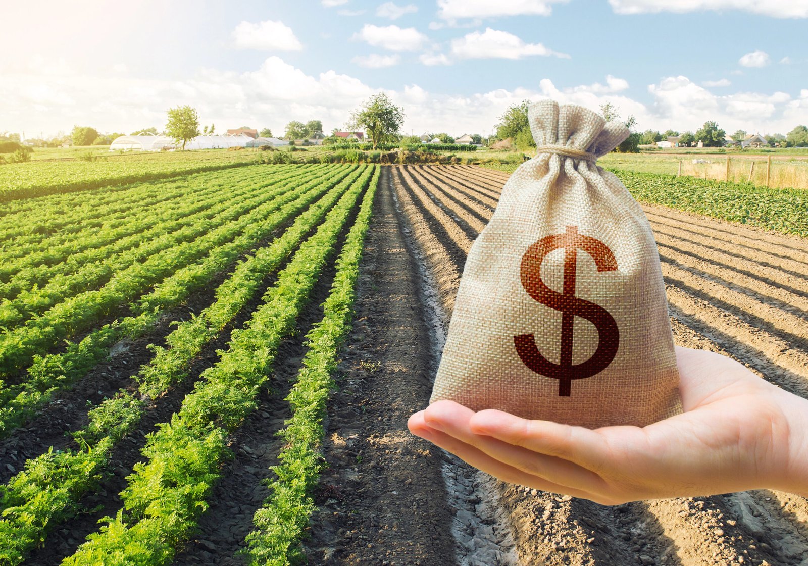 Evento do CONACREDI reúne profissionais do agronegócio para debater crédito rural, gestão de riscos, inadimplência no agro e estratégias financeiras para o setor.