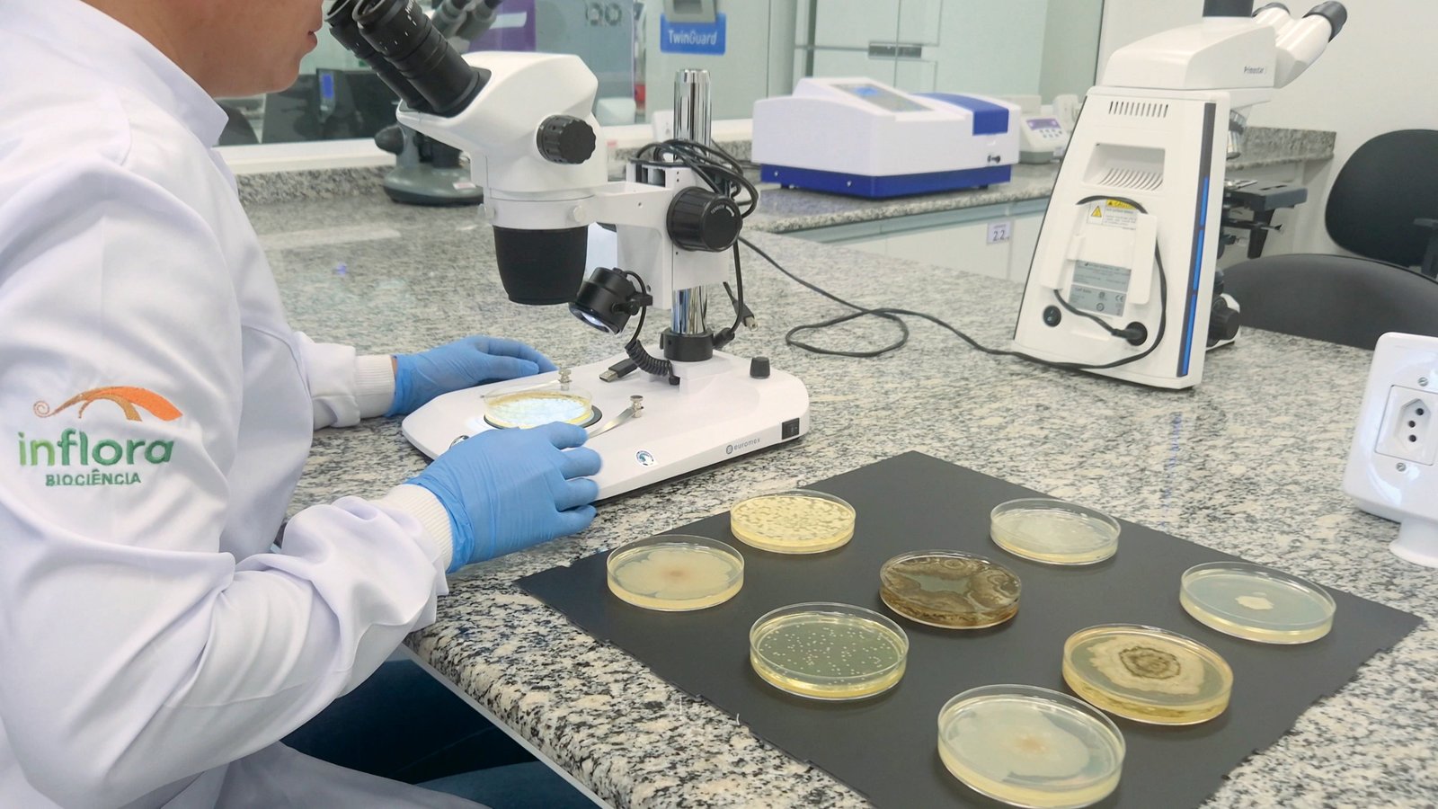 Aplicação do bionematicida Exclusiv Evo em lavoura de soja para controle biológico de nematoides.