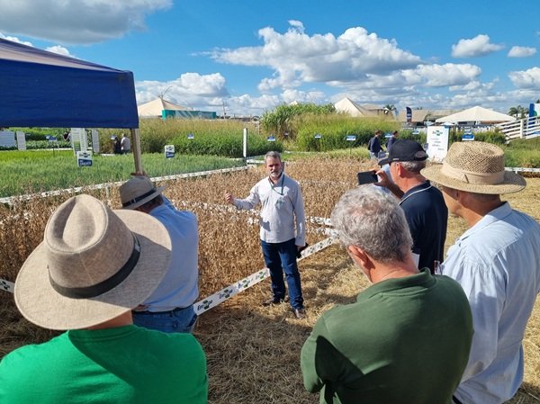 Pesquisadores da Embrapa apresentam novas cultivares de soja e maracujá durante a AgroBrasília 2026, com foco em produtividade e resistência a doenças.