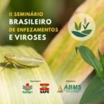 Congresso Nacional de Milho e Sorgo debate enfezamentos e viroses em seminário estratégico para a cultura do milho